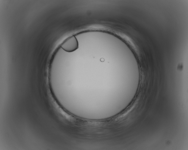 X0000093531286200710121141