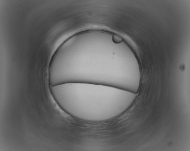X0000093531287200710121141