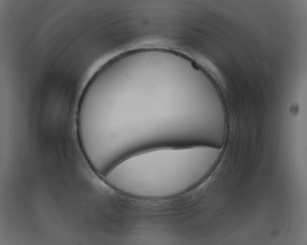 X0000093531288200710121141