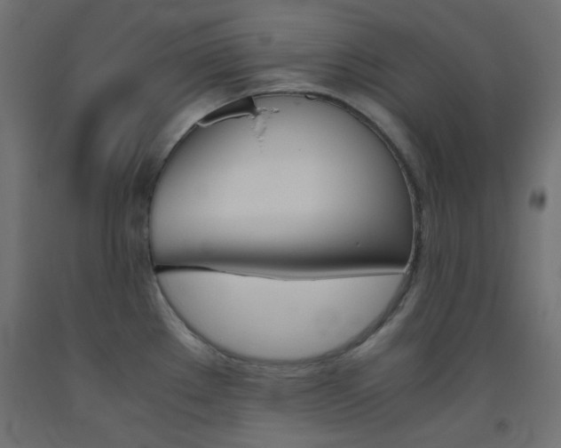 X0000093531289200710121141
