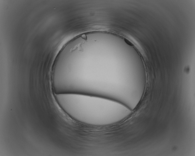 X0000093531291200710121141