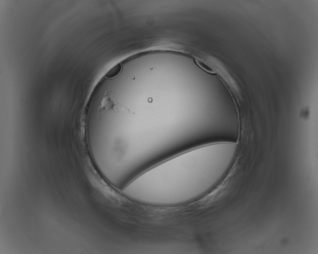 X0000093531292200710121141