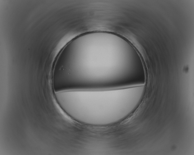 X0000093531293200710121141