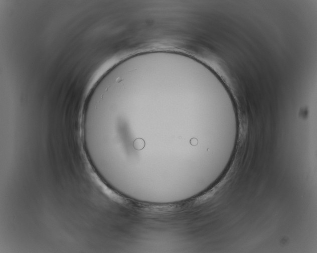 X0000093531294200710121141