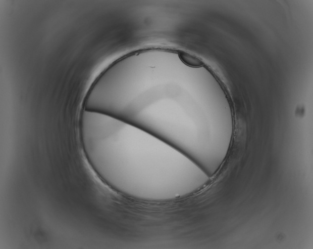 X0000093531295200710121141