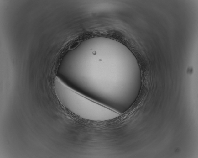 X0000093531297200710121141