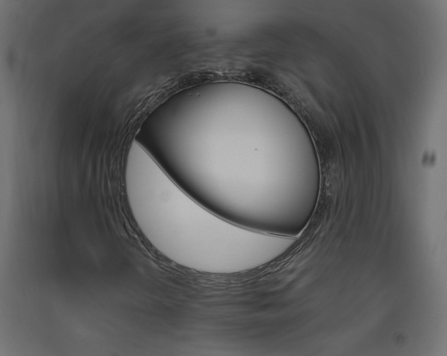 X0000093531298200710121141