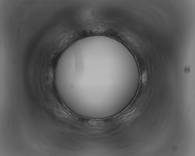 X0000093531299200710121141