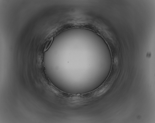 X0000093531300200710121141
