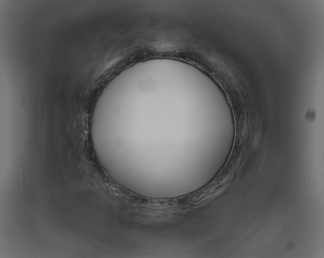 X0000093531301200710121141