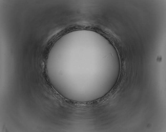 X0000093531302200710121141