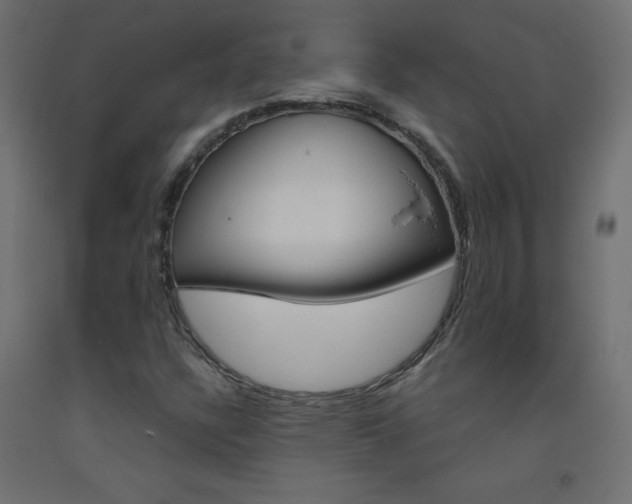 X0000093531304200710121141