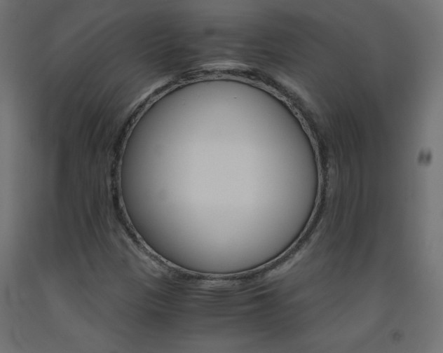 X0000093531305200710121141