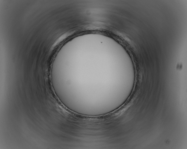 X0000093531306200710121141