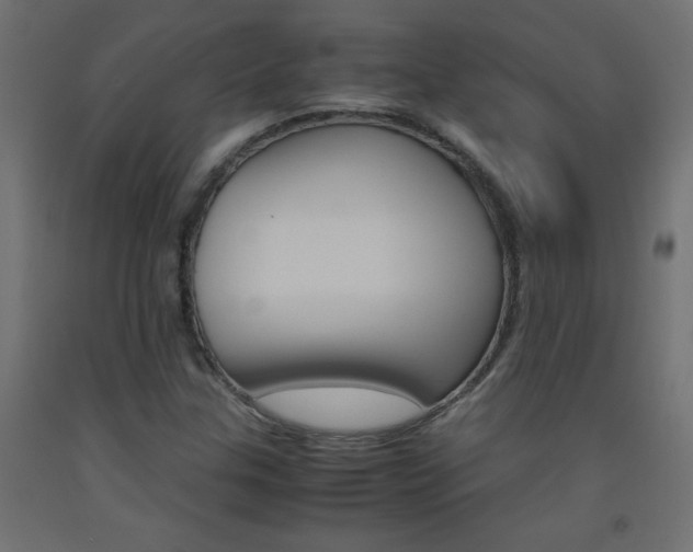 X0000093531307200710121141