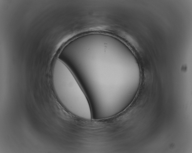 X0000093531308200710121141