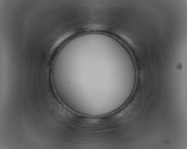 X0000093531309200710121141