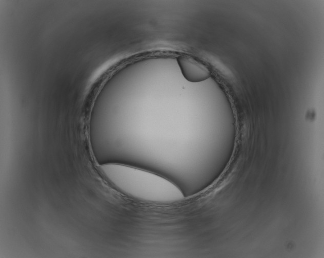 X0000093531310200710121141