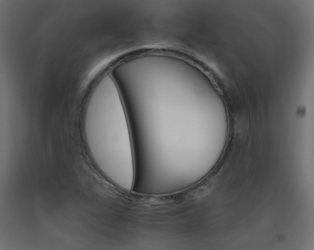 X0000093531311200710121141