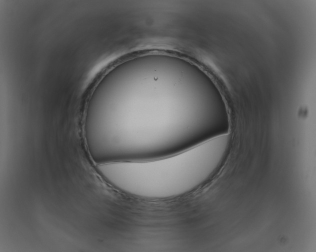 X0000093531312200710121141