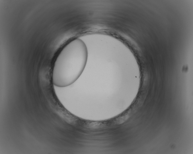 X0000093531314200710121141