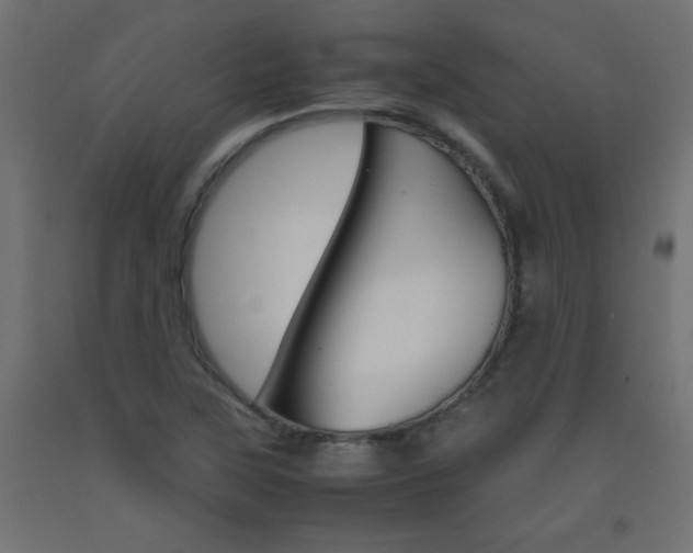 X0000093531315200710121141