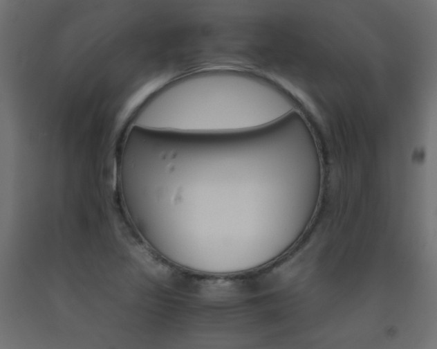 X0000093531317200710121141