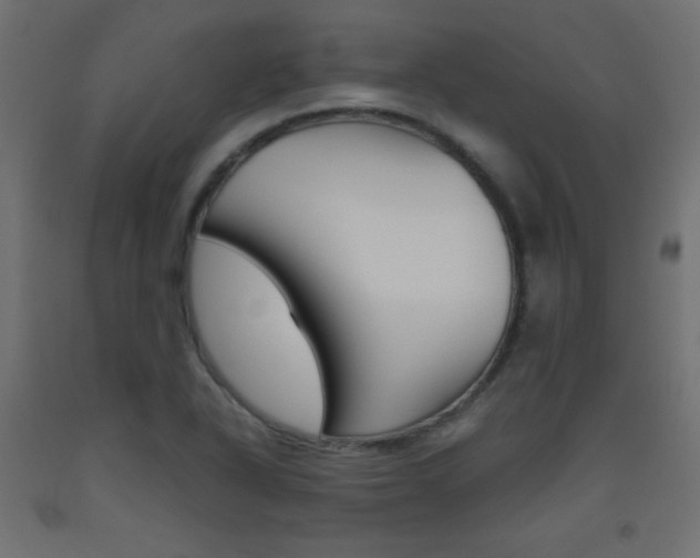X0000093531318200710121141