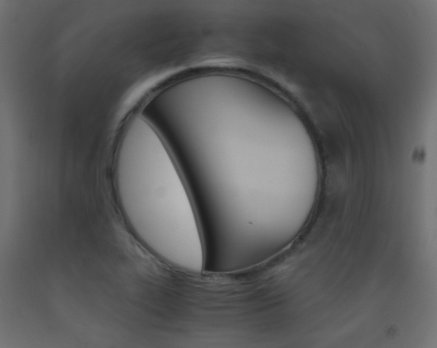 X0000093531319200710121141