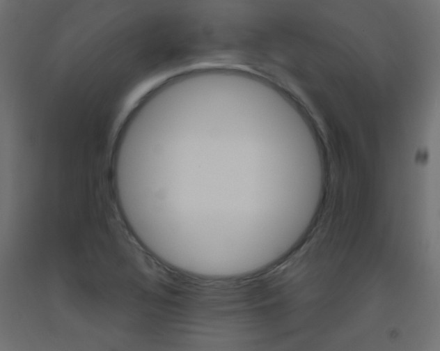 X0000093531320200710121141