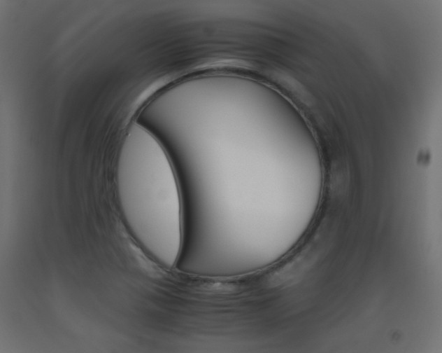 X0000093531321200710121141