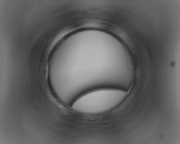 X0000093531323200710121141