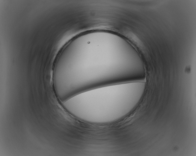 X0000093531324200710121141