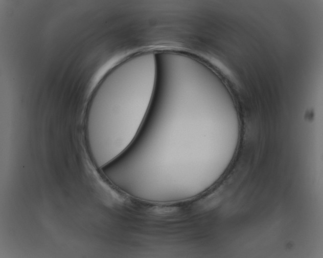 X0000093531325200710121141