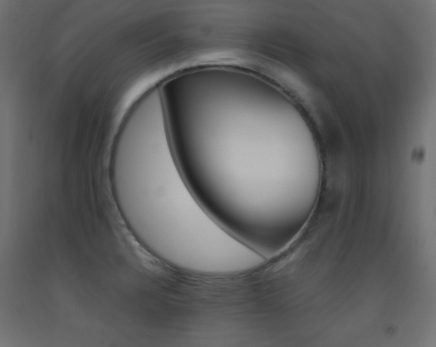 X0000093531328200710121141