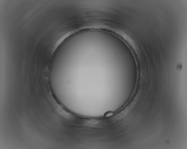 X0000093531329200710121141