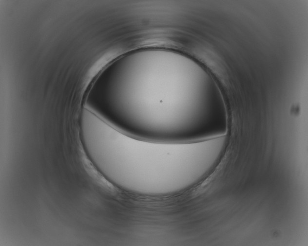 X0000093531330200710121141