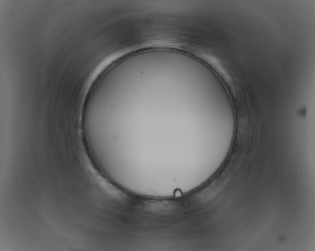 X0000093531331200710121141