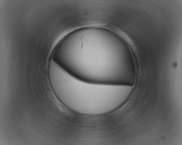 X0000093531332200710121141