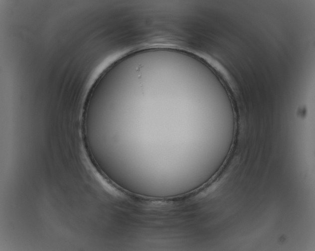 X0000093531333200710121141