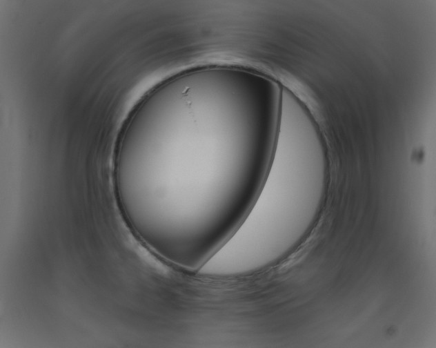 X0000093531334200710121141