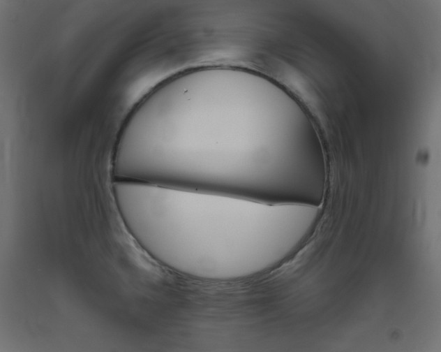 X0000093531336200710121141