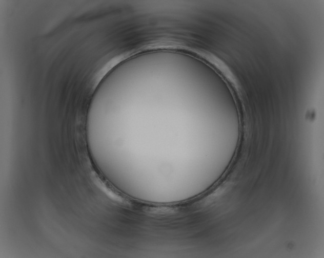 X0000093531337200710121141