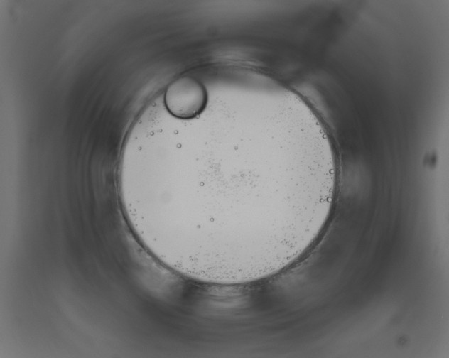 X0000093531338200710121141