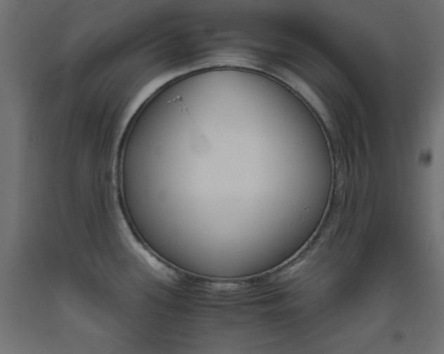 X0000093531339200710121141