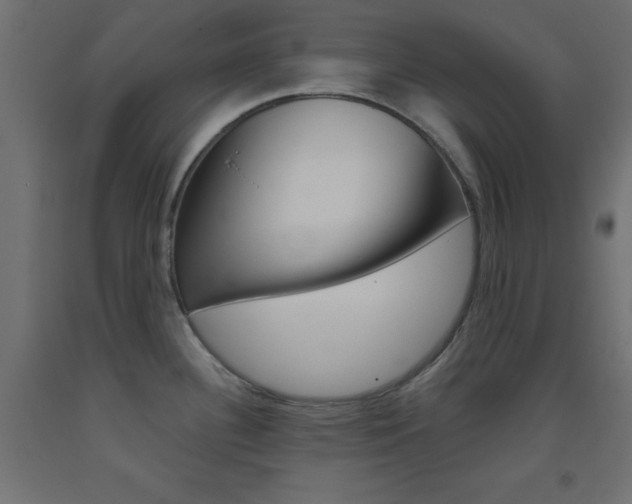 X0000093531340200710121141
