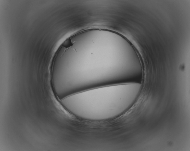 X0000093531341200710121141