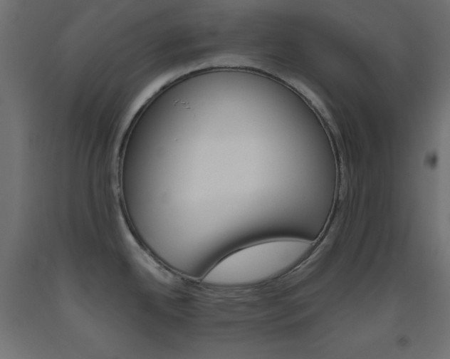 X0000093531342200710121141