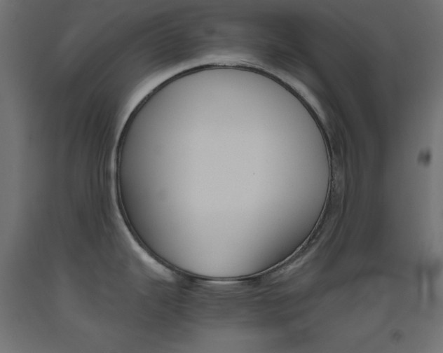 X0000093531343200710121141