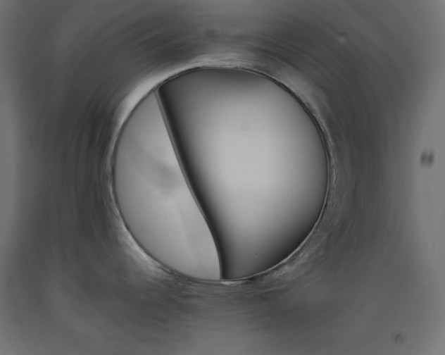 X0000093531344200710121141